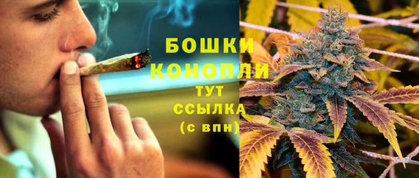 ГАЛЛЮЦИНОГЕННЫЕ ГРИБЫ Алексеевка