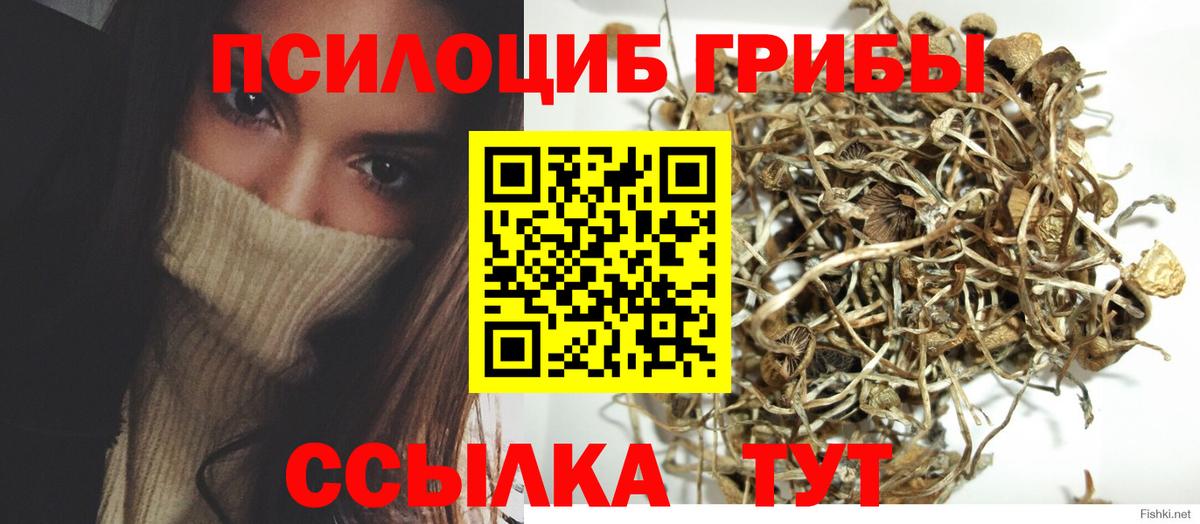 Галлюциногенные грибы MAGIC MUSHROOMS  Галлюциногенные грибы GOLDEN TEACHER  Вход с VPN  закладка  Апшеронск 